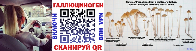 гидра зеркало  магазин продажи   Подольск  Псилоцибиновые грибы GOLDEN TEACHER 