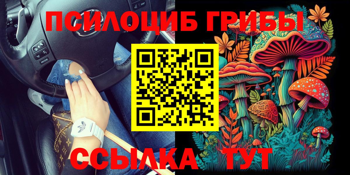 Подольск  Псилоцибиновые грибы MAGIC MUSHROOMS  Вход с VPN 